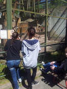 Výlet do ZOO