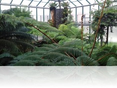 Botanická zahrada