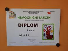 Nemocniční zajíček