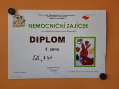 Nemocniční zajíček
