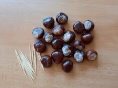 PODZIM
