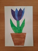 TULIPÁNOVÝ MĚSÍC