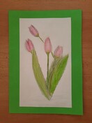 TULIPÁNOVÝ MĚSÍC