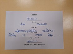 Projekt MALPANELA