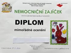 Nemocniční zajíček