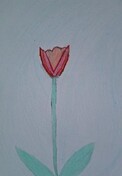 BŘEZEN - TULIPÁNOVÝ MĚSÍC