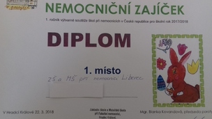 Nemocniční zajíček