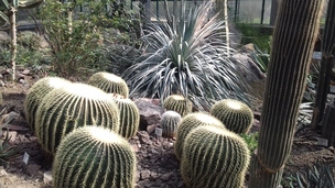 Botanická zahrada