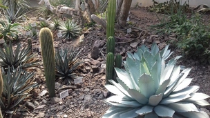 Botanická zahrada