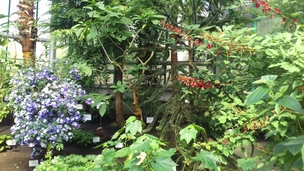 Botanická zahrada