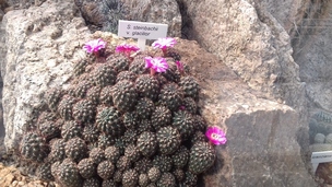Botanická zahrada