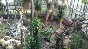 Botanická zahrada