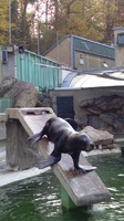 Podzimní návštěva v ZOO
