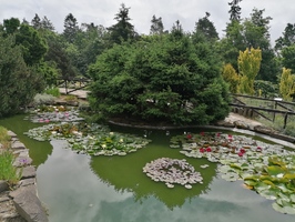 Botanické zahrada