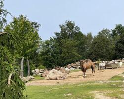 ZOO Liberec - Den bez bariér