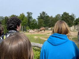 ZOO Liberec - Den bez bariér