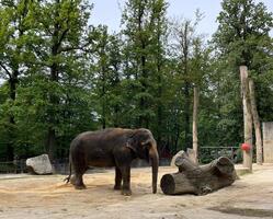 ZOO Liberec - Den bez bariér