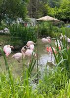 ZOO Liberec - Den bez bariér