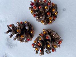 Těšíme se na advent a tvoříme ...