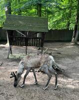 Den bez bariér v ZOO