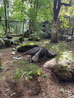 Den bez bariér v ZOO