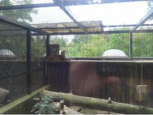ZOO